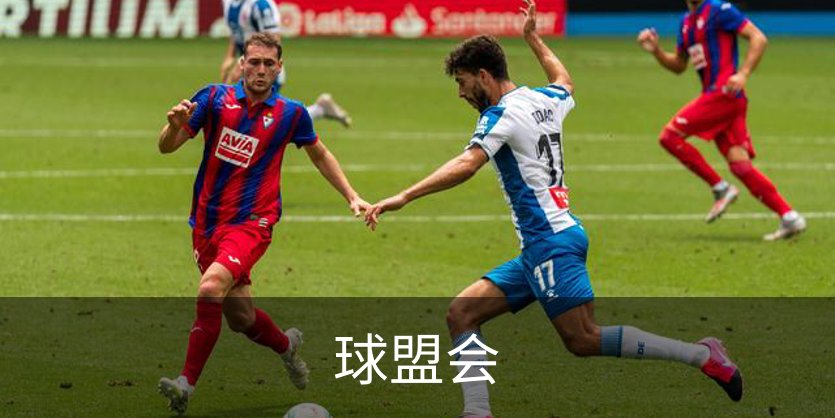 关于球盟会